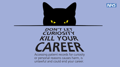 Data access_Cat_screensaver