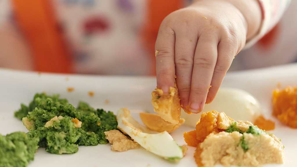 What To Feed At 10 To 12 Months Start For Life NHS