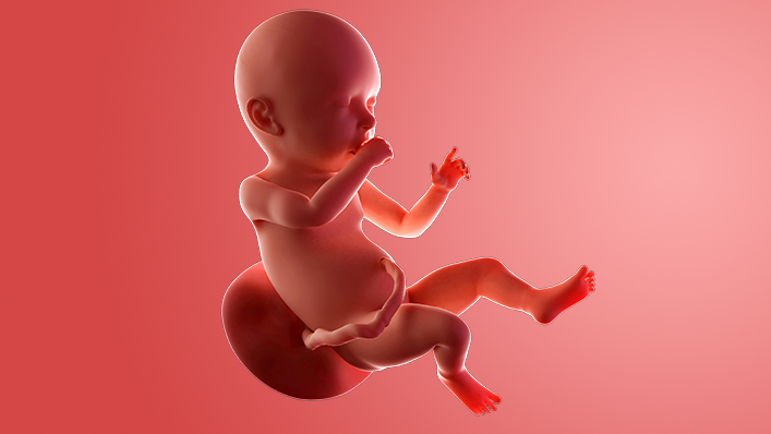 39 Weeks Pregnant: Symptoms & Baby Development - Babylist