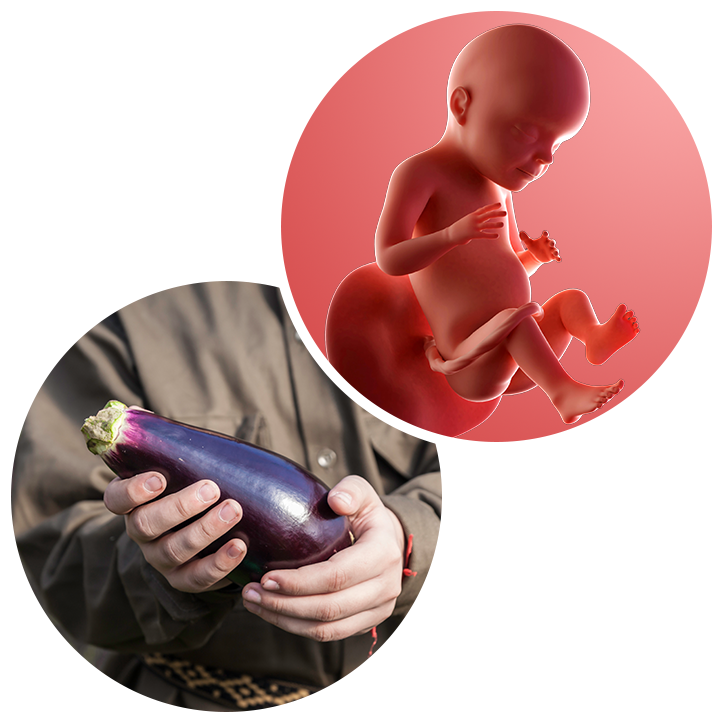 28 weeks pregnant Weekbyweek guide NHS