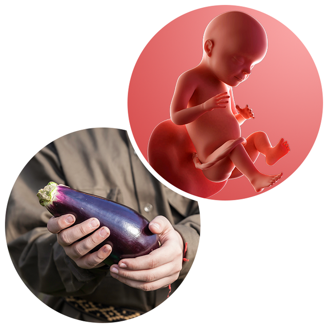 28 weeks pregnant Week by week guide NHS