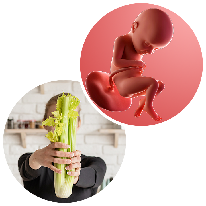 32 weeks pregnant guide - Best Start in Life - NHS