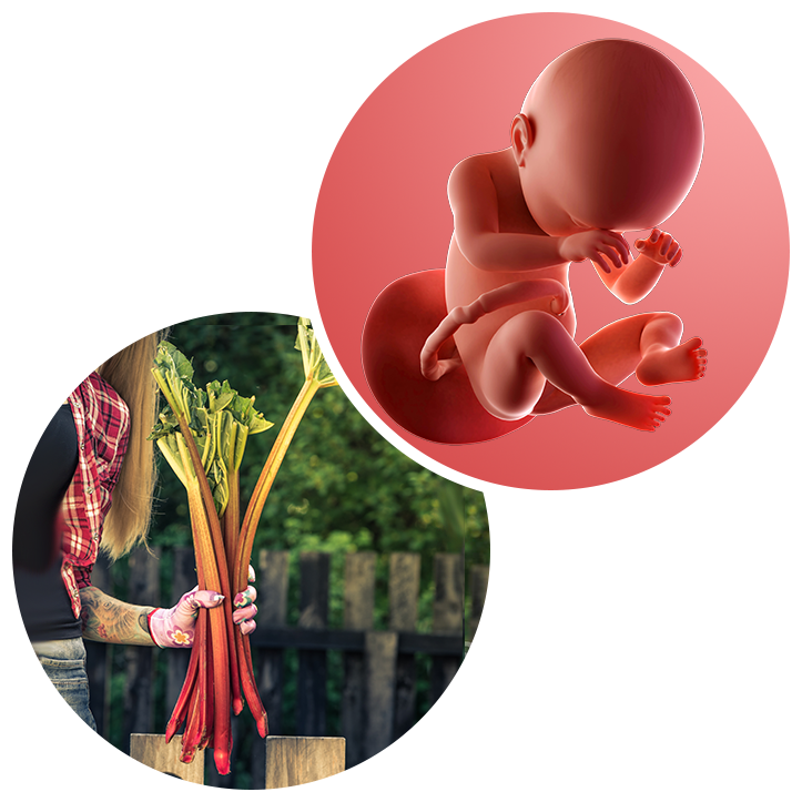 38 weeks pregnant Weekbyweek guide NHS