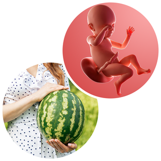 Baby and You at 35 Weeks Pregnant: Symptoms and Development