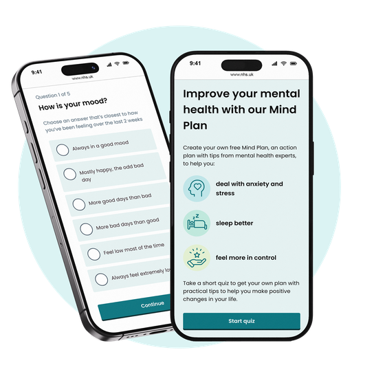 Mind Plan homepage and question on mood.