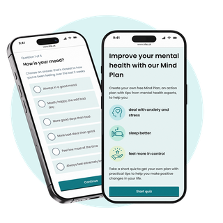 Mind Plan homepage and question on mood.