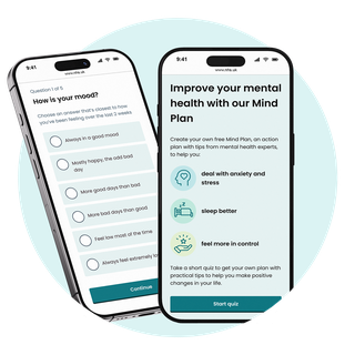 Mind Plan homepage and question on mood.