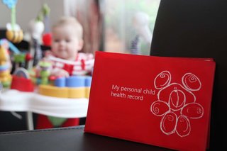 A personal child health record, or red book