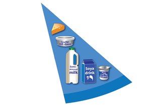 A segment of an oval, smaller than the protein foods segment, with examples of dairy and alternatives, such as cheese, semi-skimmed milk, soya drink and yoghurt