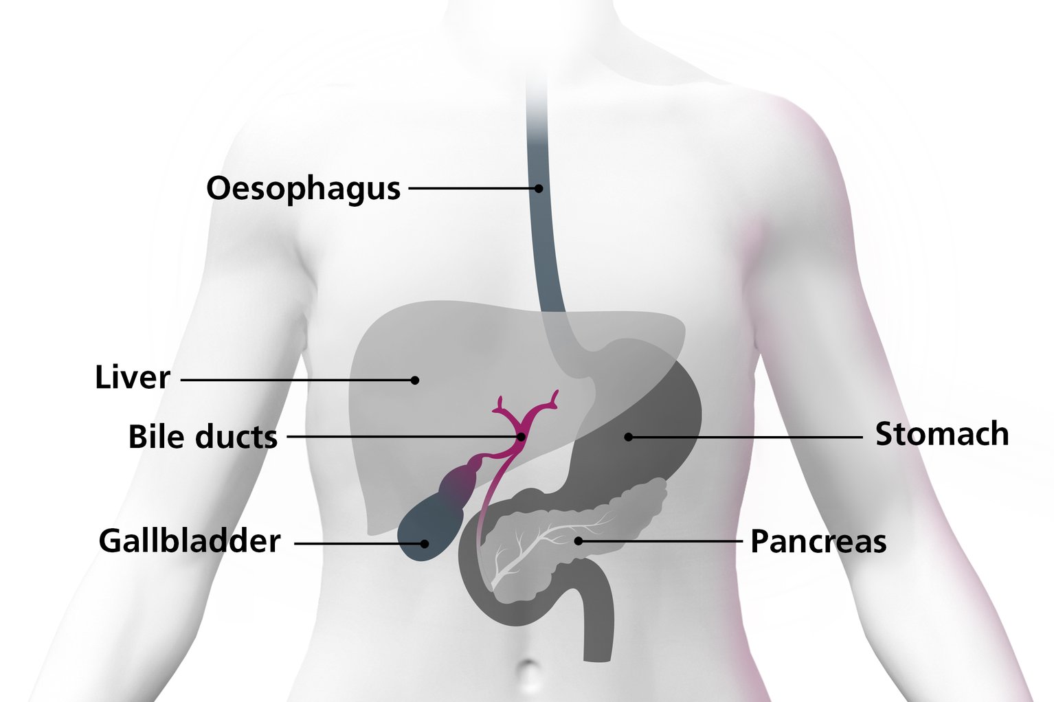 what-is-bile-duct-cancer-nhs