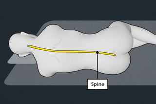 Diagram of a person lying on their side, highlighting the spine which runs from the base of the neck to the bottom of the back.