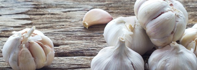 garlic