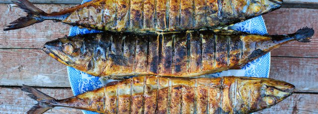 oily fish